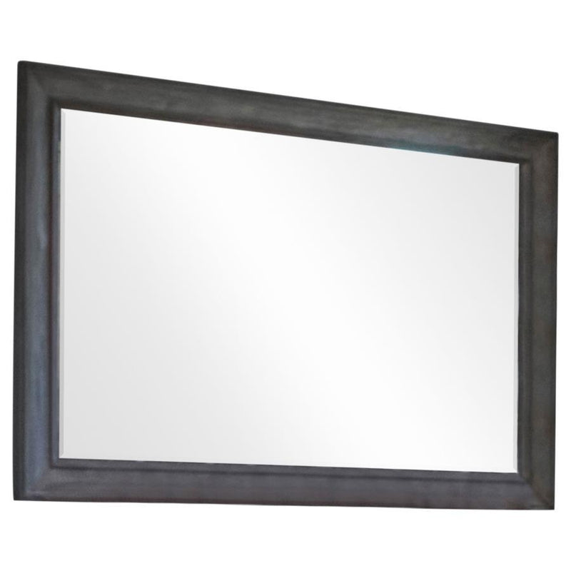 Alderwood - Rectangle Dresser Mirror - French Grey